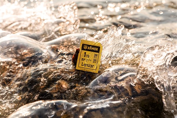 Speicherkarte Lexar SDXC ARMOR Gold 512 GB ...