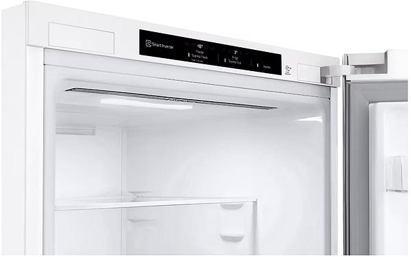 Refrigerator LG GBV21L0ESW ...