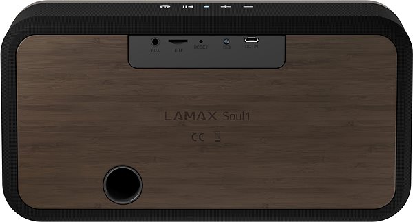 Bluetooth Speaker LAMAX Soul1 Connectivity (ports)