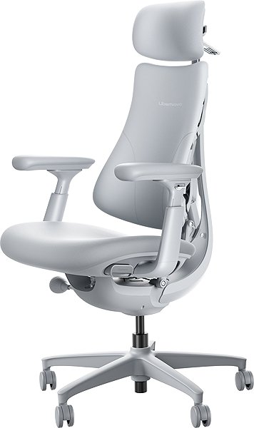 Office Chair LiberNovo Omni Space Gray ...