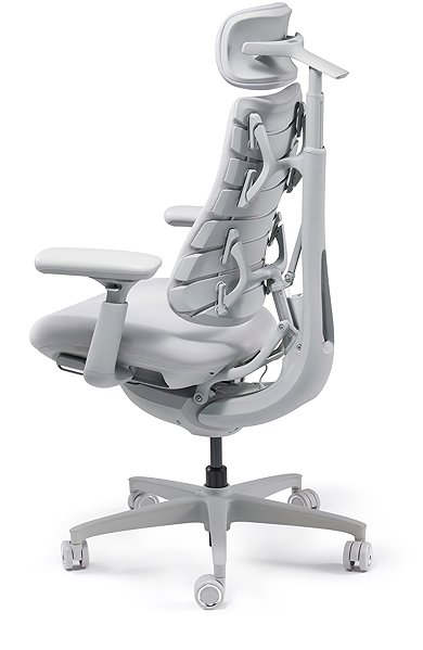 Office Chair LiberNovo Omni Space Gray ...