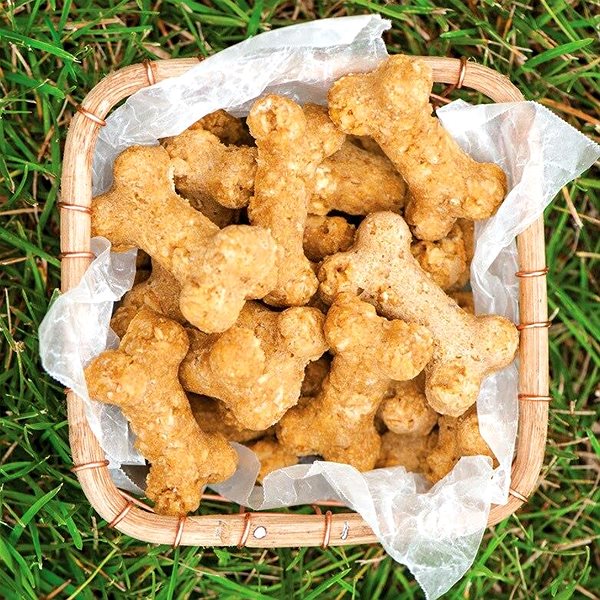Baking Mould Nordic Ware 16 pcs dog biscuits blue ...