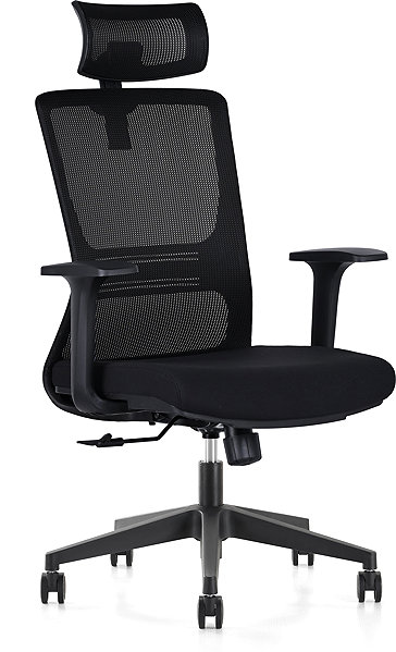 Office Chair LTC Artemis, Ergonomic ...