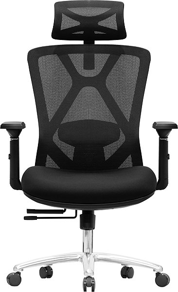 Office Chair LTC Delta, Black ...