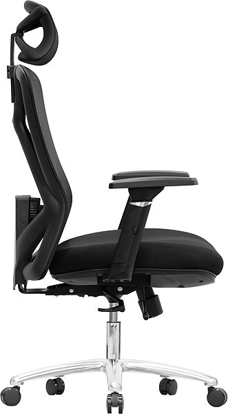 Office Chair LTC Delta, Black ...