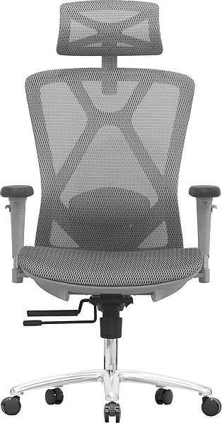 Office Chair LTC Delta, Grey ...