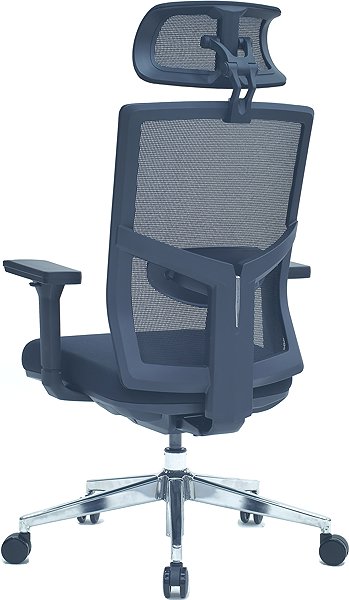Office Chair LTC Victory Ergo, Black ...