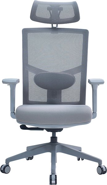Office Chair LTC Victory Ergo, Grey ...