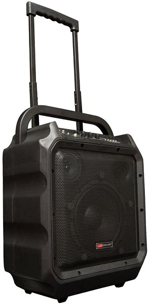 Speaker Mark MAM 80 .