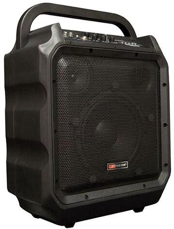 Speaker Mark MAM 80 .