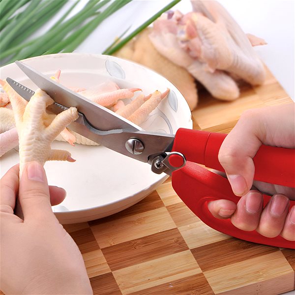 Kitchen scissors Vergionic Kitchen scissors 5002 24 cm .