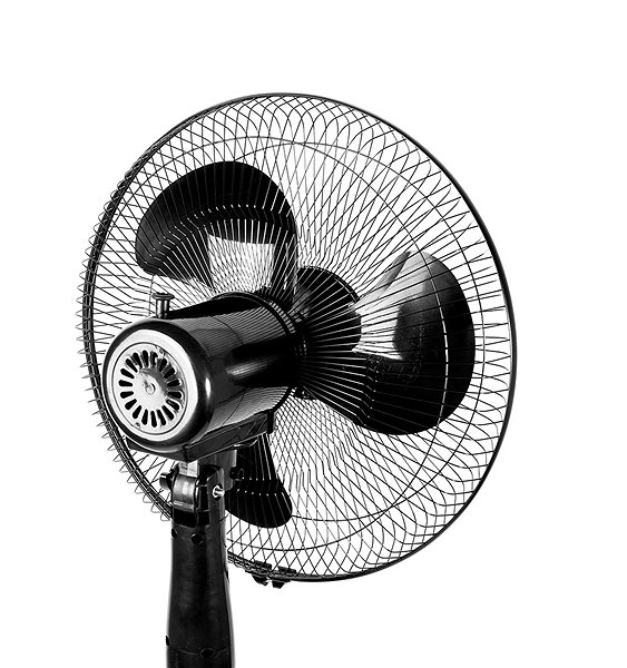 Fan Aga Domestic fan 43 cm black ...