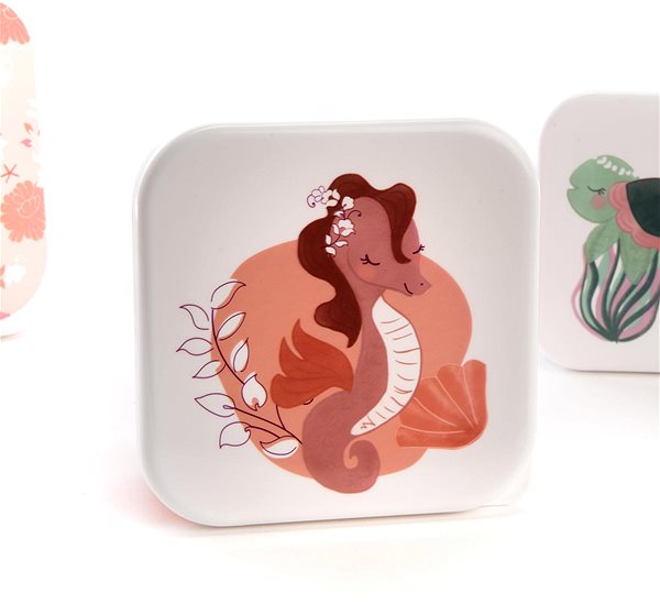 Lunch Box Amadeus Snack box Venus 3 pcs ...