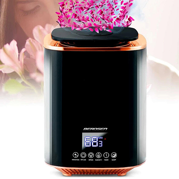 Air Humidifier Berdsen BD-502 Humidifier 250 ml/h, tank volume 2.6 l, black ...