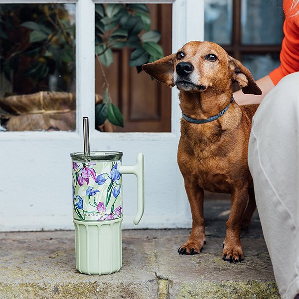 Thermal Mug Quokka Umi with Straw 720ml, Green Tea ...