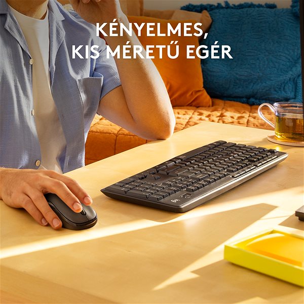 Logitech Wireless Combo MK295 keyboard and mouse set, graphite - HU.