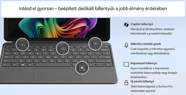 Keyboard Microsoft Surface Pro (12