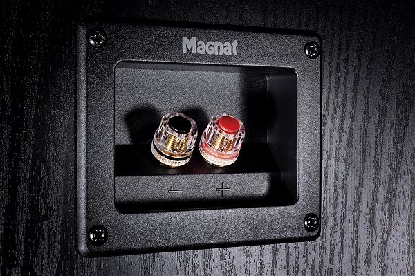 Magnat Monitor S30 speaker system/black.