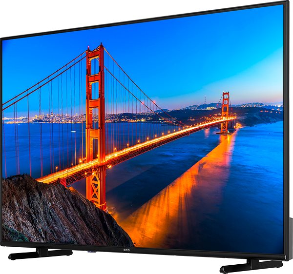 Television 55