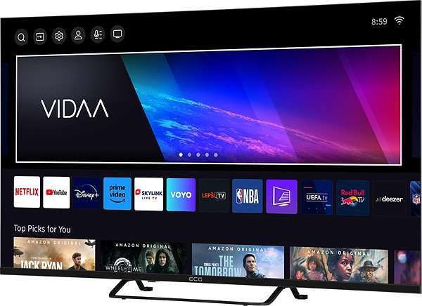 Television 43