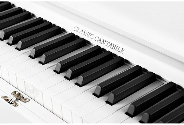 Classic Cantabile DP-730 WL digital piano.