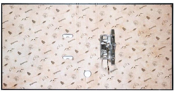 Arch Folder Harry Potter: Glasses - binder ...