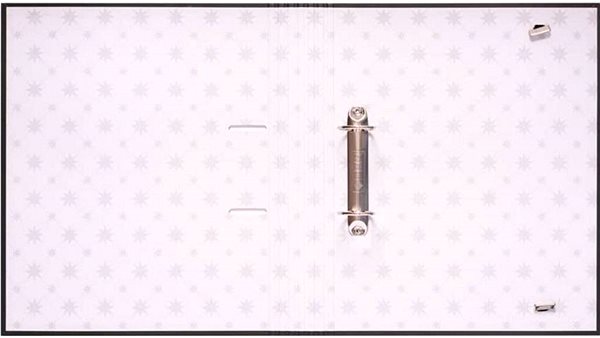 Arch Folder Harry Potter: Dobby - two-ring binder ...