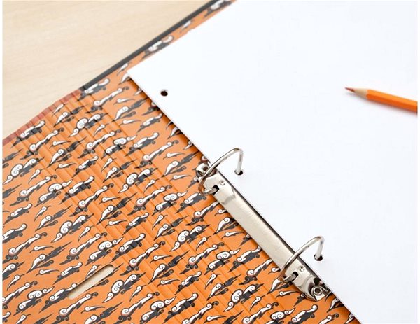 Arch Folder Naruto Shippuden: Fight - two-ring binder ...