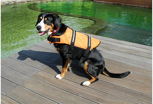 Plávacia vesta pre psov Merco Dog Swimmer oranžová ...