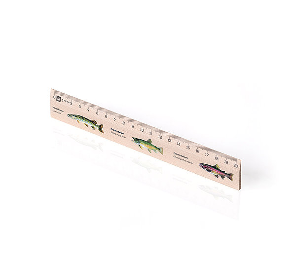 Pravítko METRIE Didakt M02 drevené, ryby, 20 cm ...