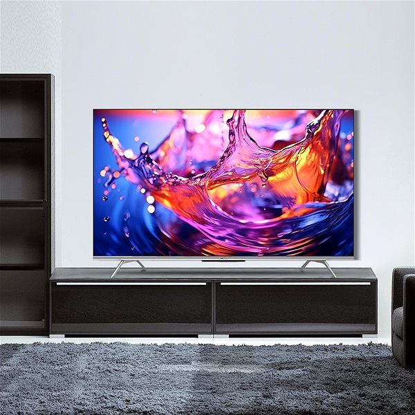 Television 65