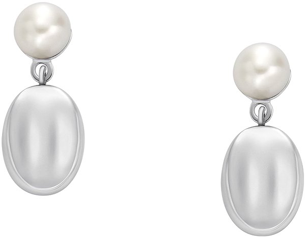 Skagen Women's Steel Earrings SKJ1835040.
