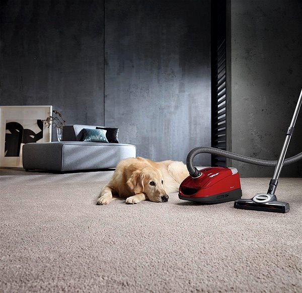 Bagged Vacuum Cleaner Miele Compact C2 Cat & Dog ...