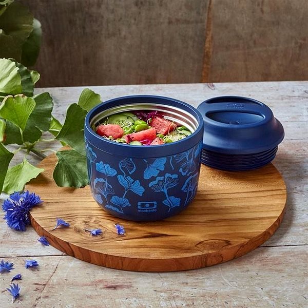 Snack Box MonBento Thermobox for snacks Element Ginkgo Lifestyle