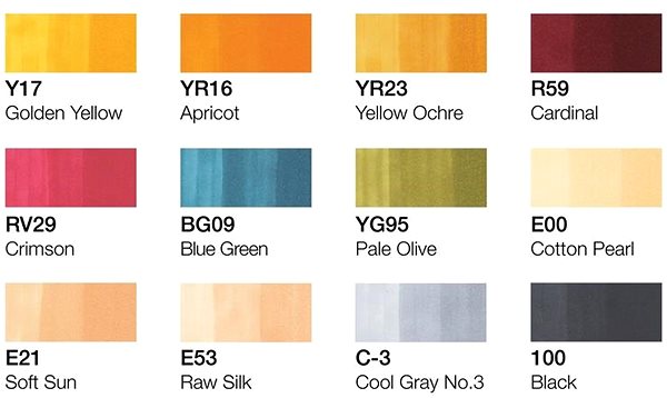 COPIC Ciao double-sided Brush Chisel 12 pcs Manga trendy tones .