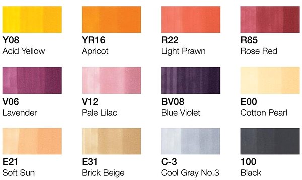 COPIC Ciao Double Sided Brush Chisel 12 pcs Manga Witch Tones .