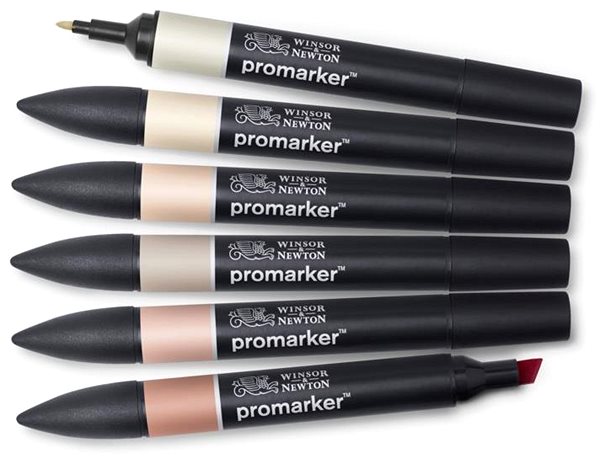 Markers WINSOR NEWTON double-sided Fine Chisel 6 pcs Skin tones 1 .