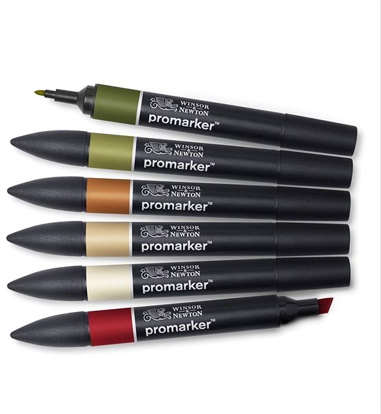 Markers WINSOR NEWTON double-sided Fine Chisel 6 pcs Landscape .