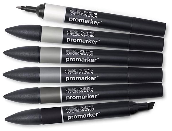 Markers WINSOR NEWTON double-sided Fine Chisel 6 pcs Natural tones .