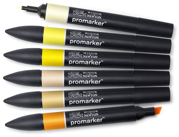 Markers WINSOR NEWTON double-sided Fine Chisel 6 pcs Yellow tones .