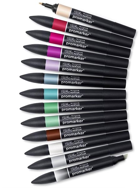 Markers WINSOR NEWTON double-sided Fine Chisel 12+1 pcs Manga Chibi .