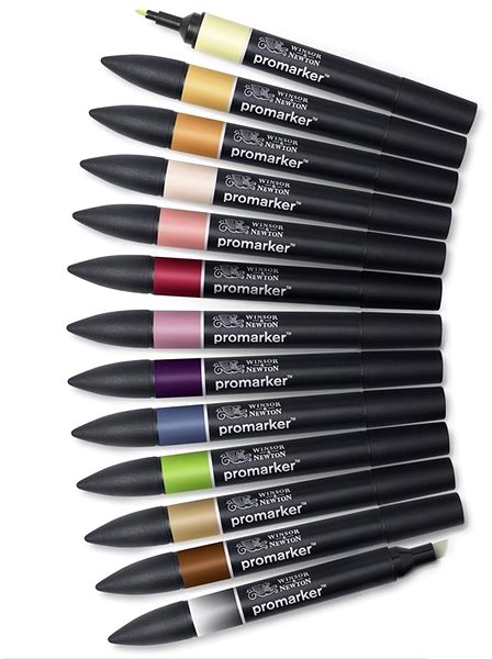 Markers WINSOR NEWTON double-sided Fine Chisel 12+1 pcs Manga Steampunk .