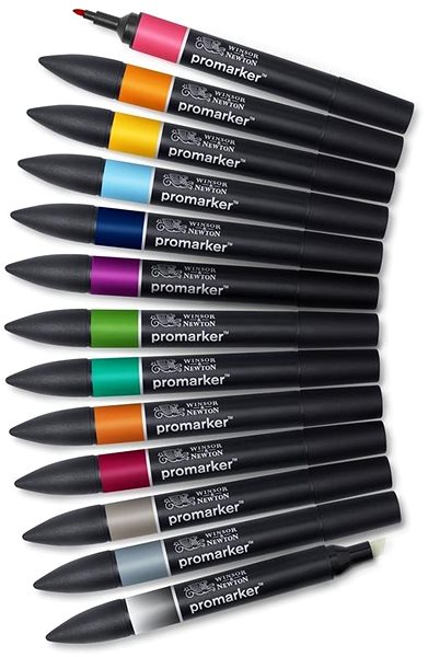 Markers WINSOR NEWTON double-sided Fine Chisel 12+1 pcs Tattoo tones .