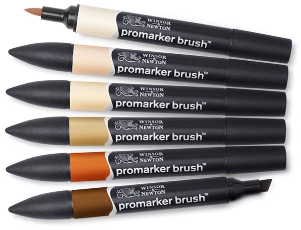 WINSOR NEWTON Double Sided Brush Chisel 6 pcs Skin tones .