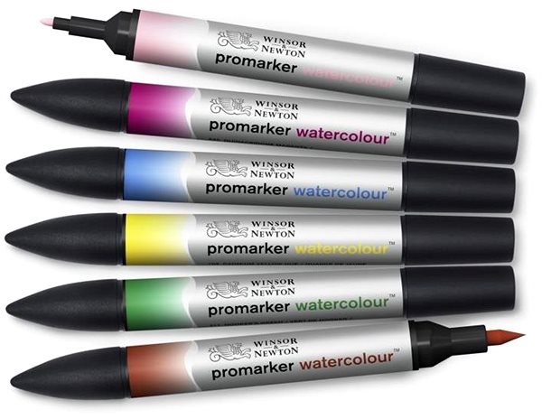 Markers WINSOR NEWTON double-sided Brush Fine 6 pcs Floral .