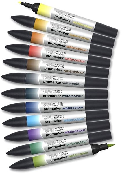 Markers WINSOR NEWTON double-sided Brush Fine 12 pcs Landscape .