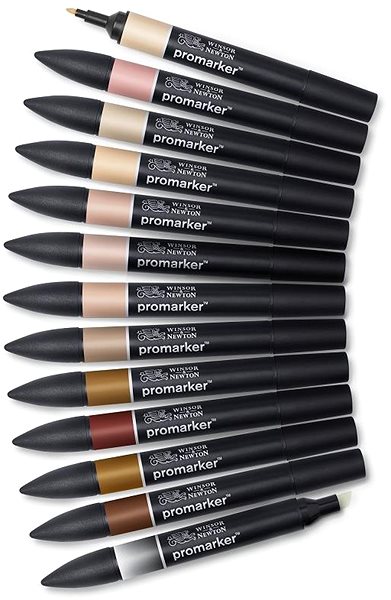Markers WINSOR NEWTON double-sided Fine Chisel 12+1 pcs Skin tones .