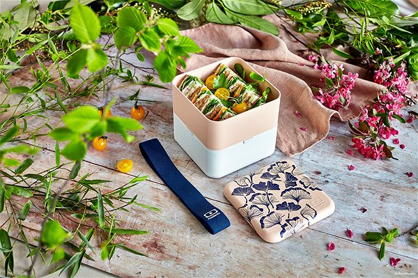 Snack Box MonBento Snack bento box Square Graphic Ginkgo ...