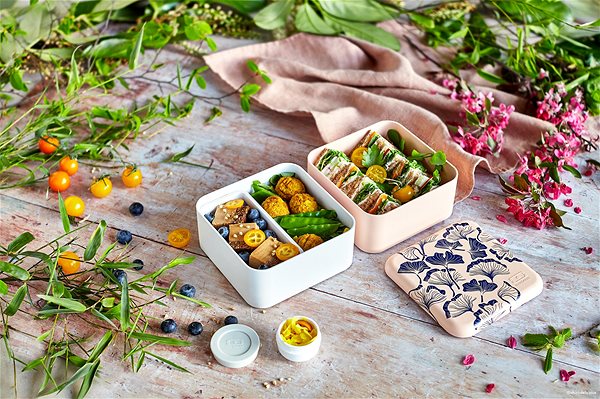 Snack Box MonBento Snack bento box Square Graphic Ginkgo ...