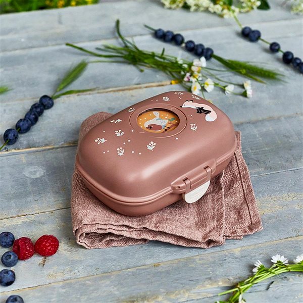 Snack Box MonBento School Snack Box Gram Fox ...